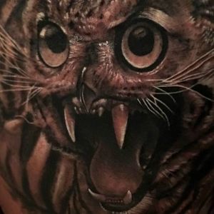 Meet your Posher, Dane